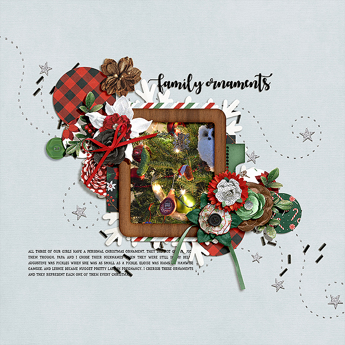 1216-family-ornaments