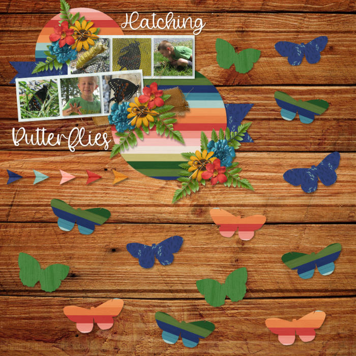 17-May_2020-Details_-Papercut_butterflies_WS_46-CP_