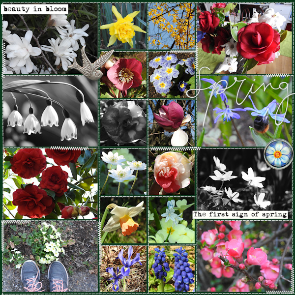 1904_spring