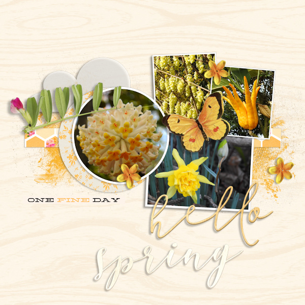 19mar16_yellow_spring