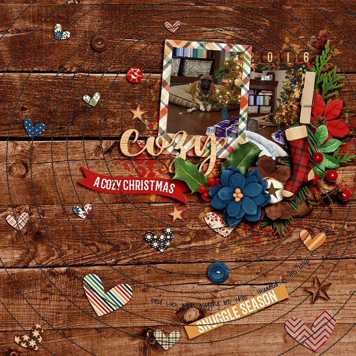 2016_12_Cozy_copy