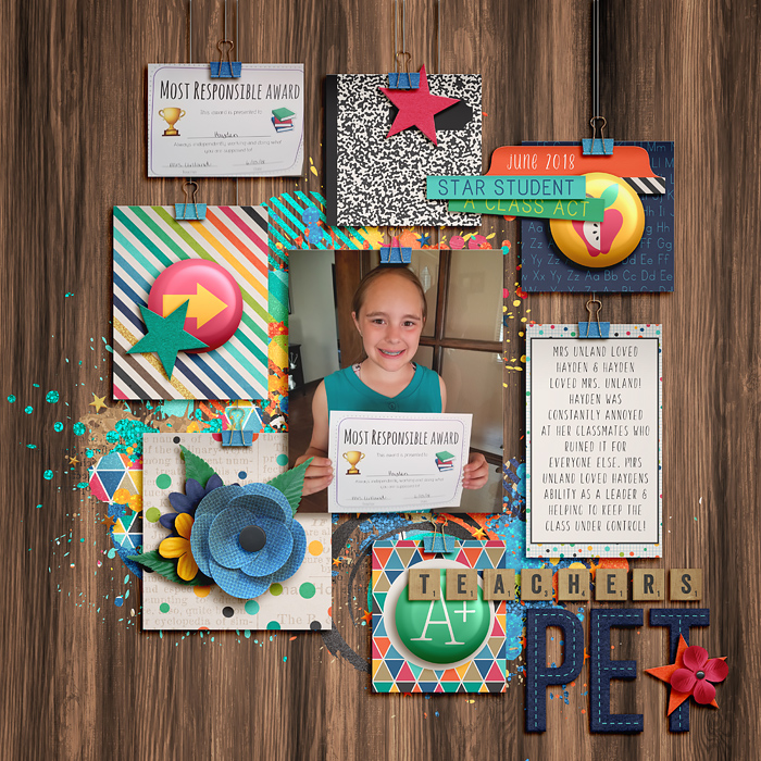 2018_6_teacherspet