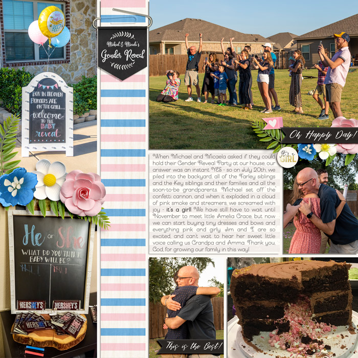 2019-08-Gender-Reveal-Gathering