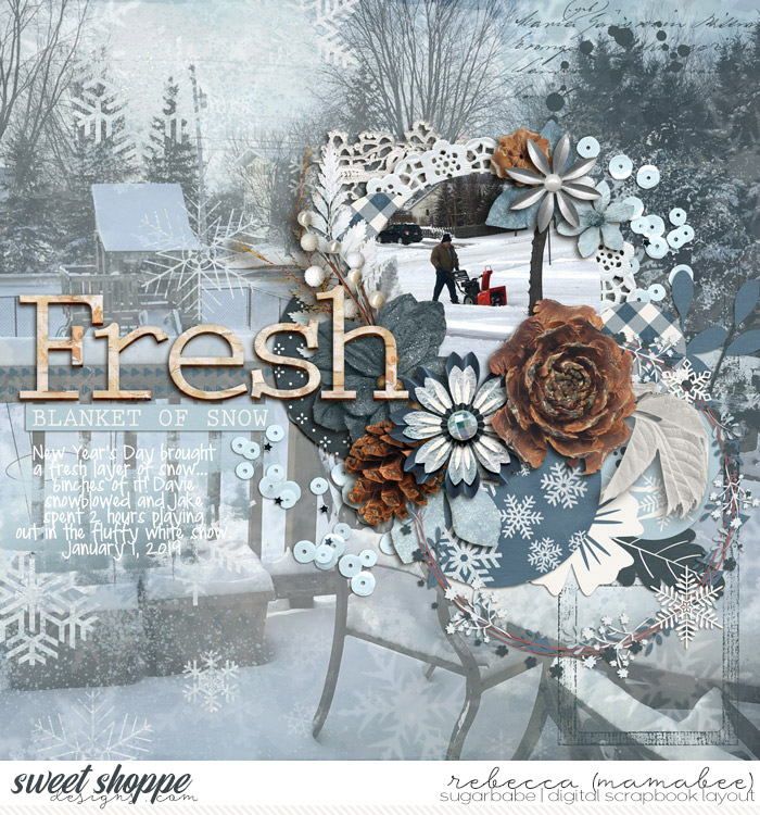 2019_1_1-fresh-snow_layeredtemplateset7-temp2