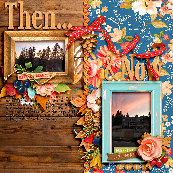 2019_Then_and_Now