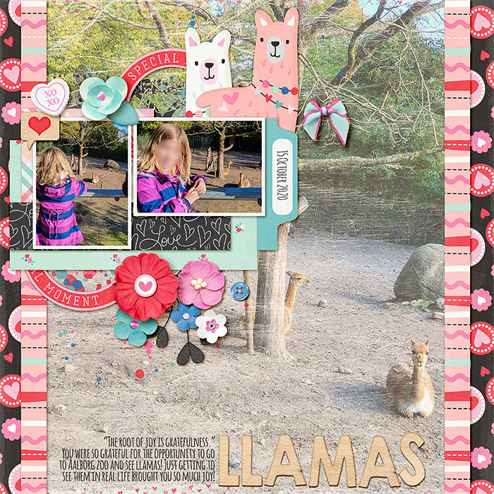 2020-10-15-llamas