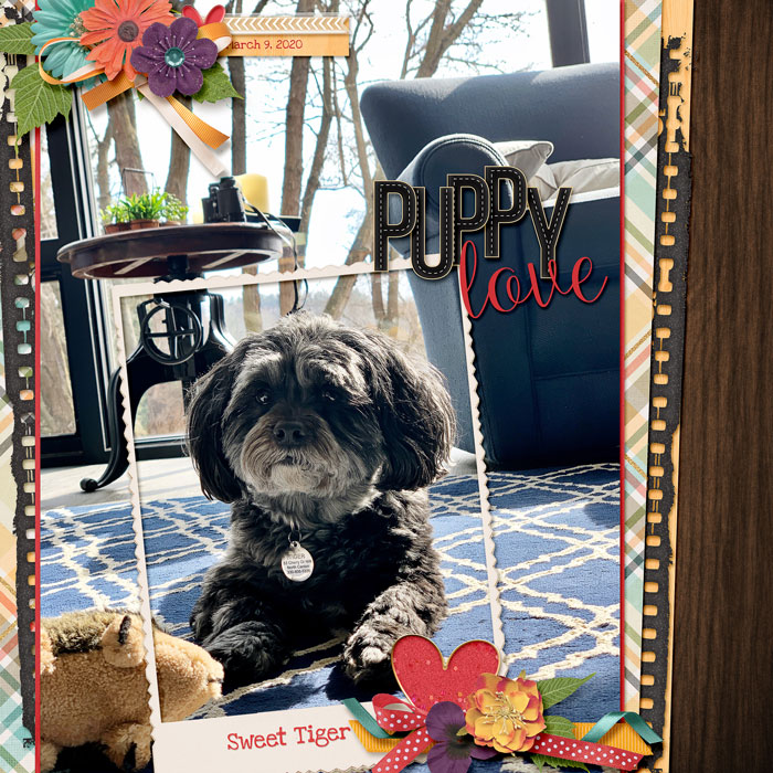 2020-Puppy-Love-web