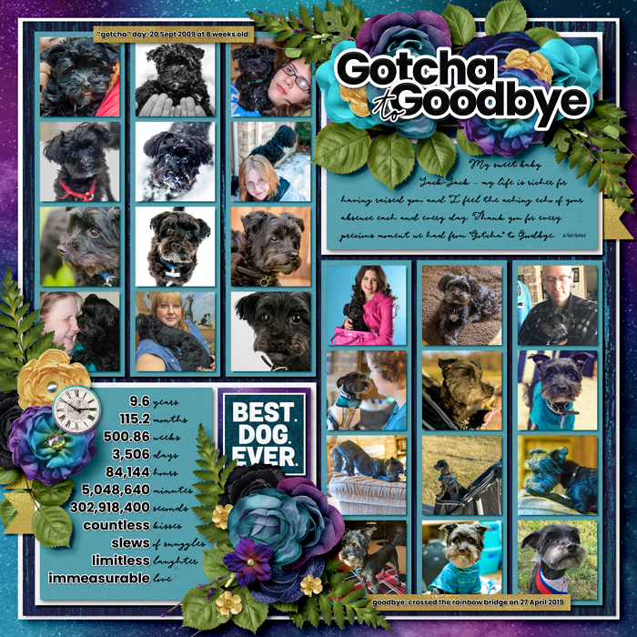 2021-02-Gotcha-to-Goodbye