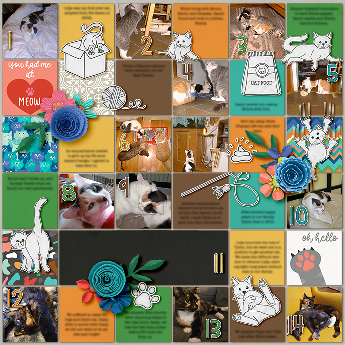 2021-cat-history-very-small-blurry