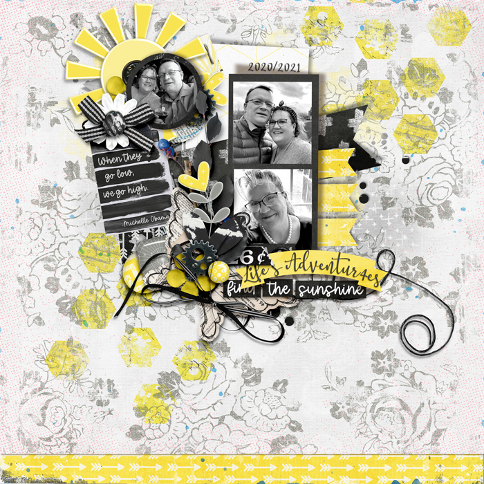 20210301findthesunshineweb