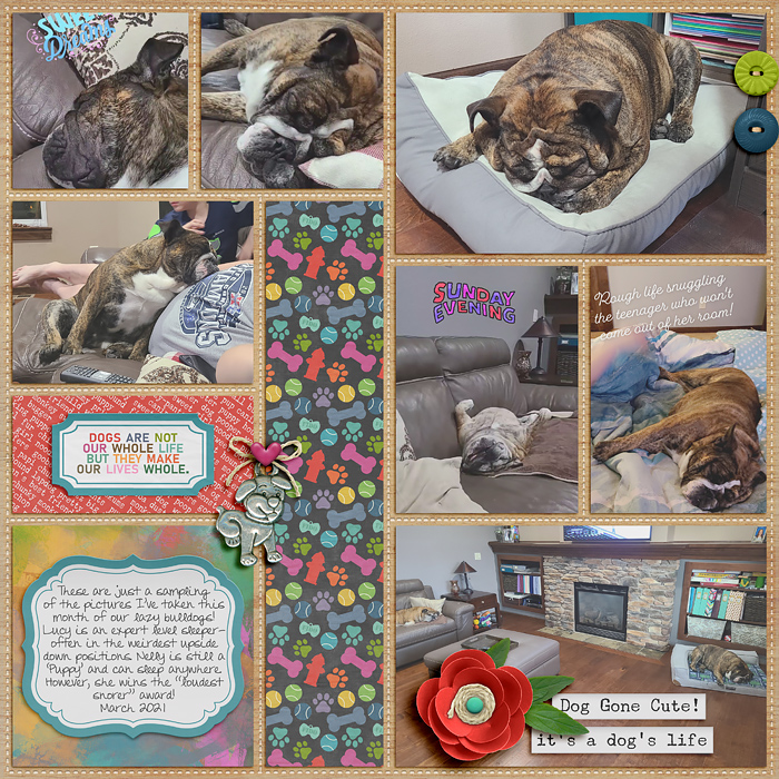 2021_3_Dog_Gone_Cute