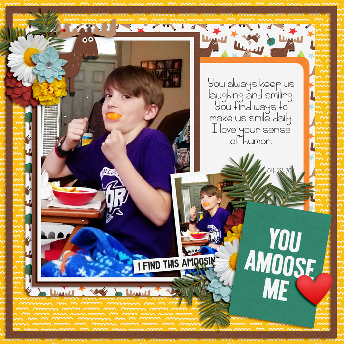 Amoosemeweb