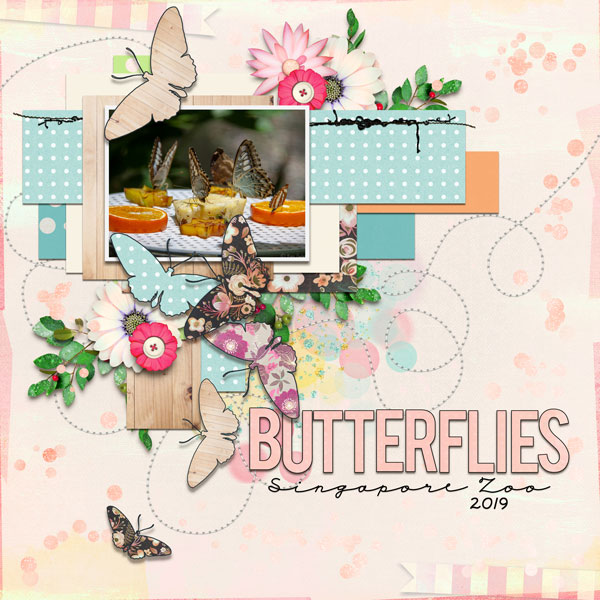 Butterflies-web1