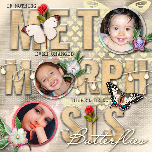 Butterflies