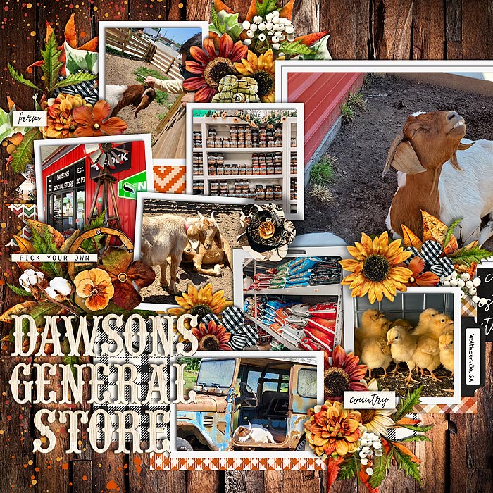 Dawsons
