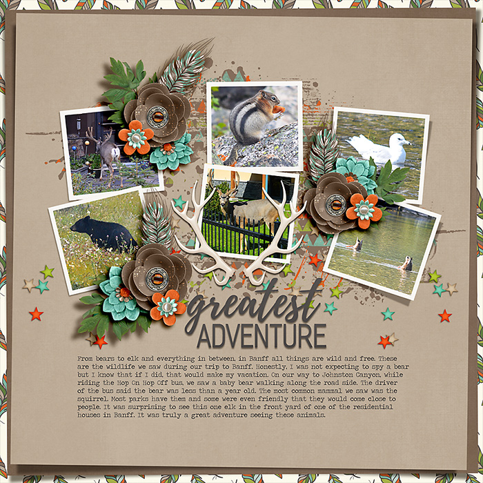 Gr8Adv_immaculeah