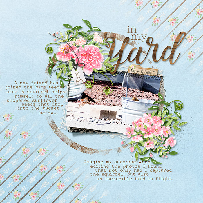 In_my_yard