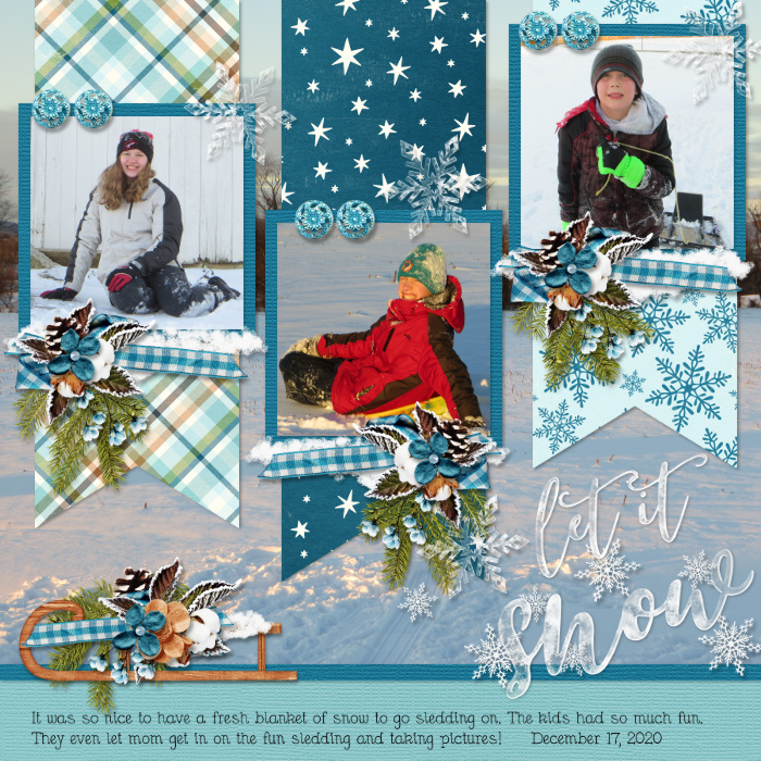 January_2021-11-Composition-Trios-_SwL-HolidayHooplahTemplate_