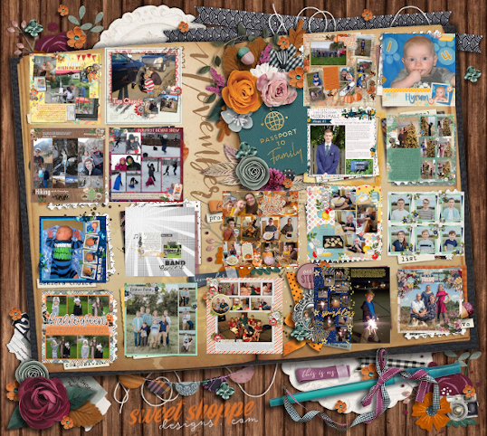 Nov2021_passport1