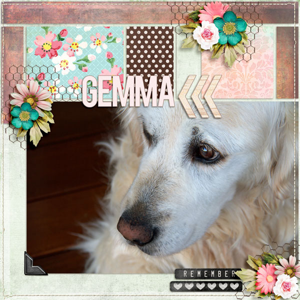 Remember-Gemma-web