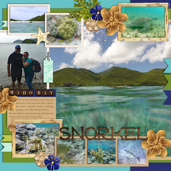 Snorkel_left_web