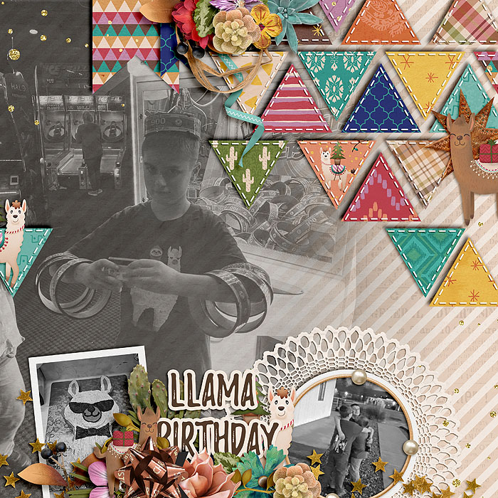 WEB_2019_Dec_llama_Birthday
