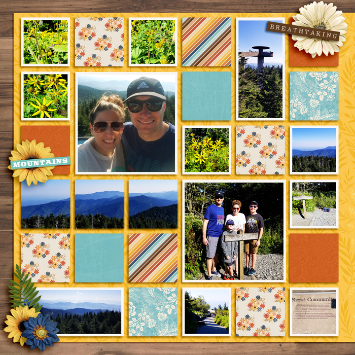 clingmansdomeAweb