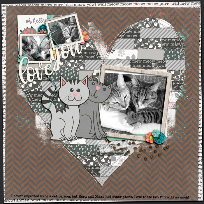 lovecatsWEB