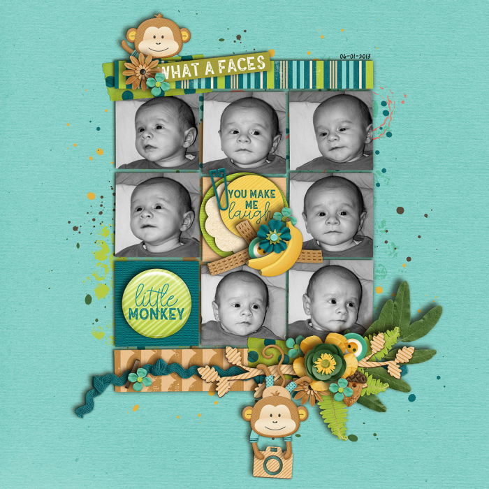Little Monkey