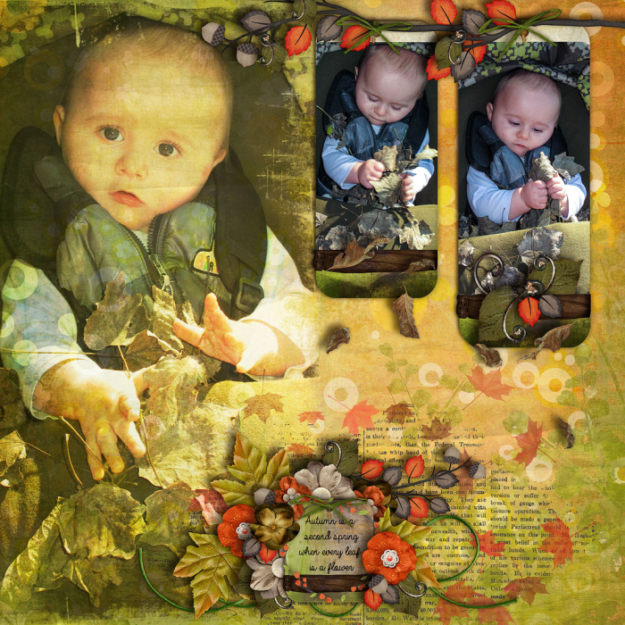Collecting leaves