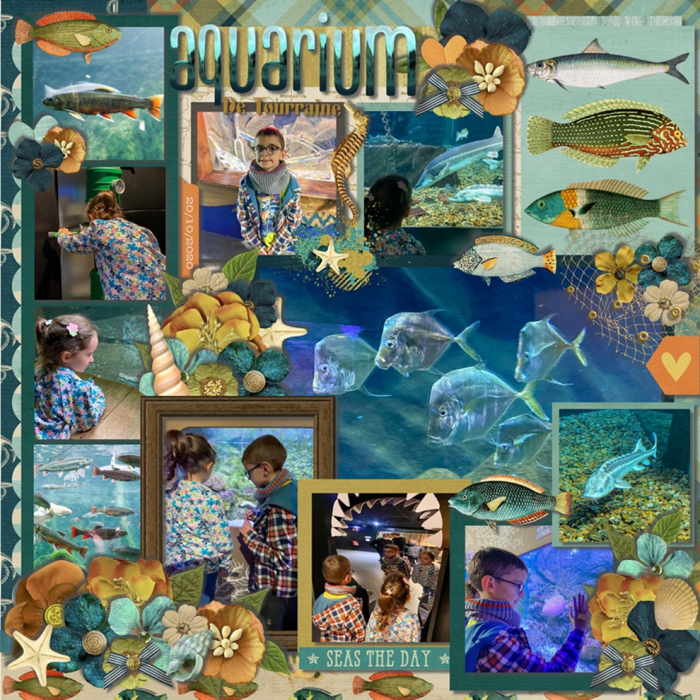 Aquarium part 1