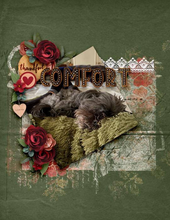 Comfort3