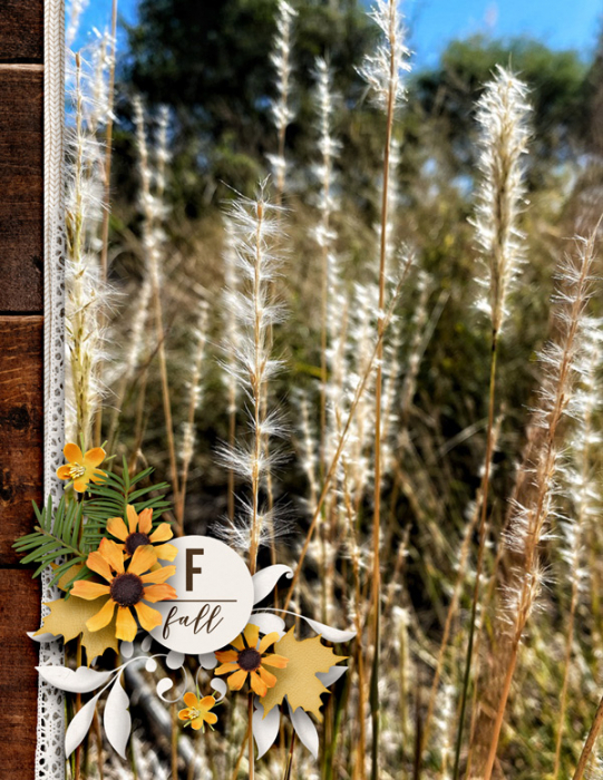 FallWalks1
