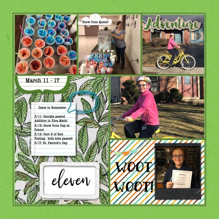 #17: Week 11 Project Life