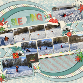 011920_Sledding_p1_700.jpg