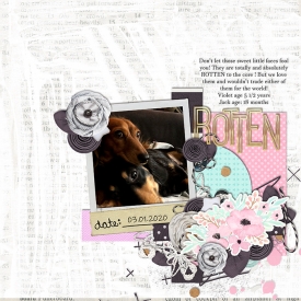 03012020jackviolet.jpg