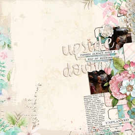 0331-upside-down.jpg