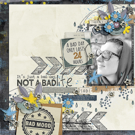 0415-bad-day.jpg