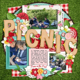 0524-picnic.jpg