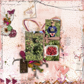 091920_Raspberries_700.jpg