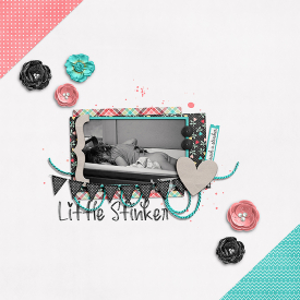 13-2-6-little-stinker.jpg