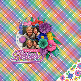 18-3-2-forever-my-sister.jpg