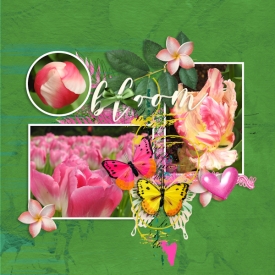 190406_bloom.jpg