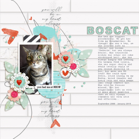 1_OLW_Remberance_Boscat.jpg