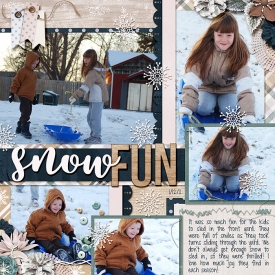 2011_01_12_snowfun.jpg