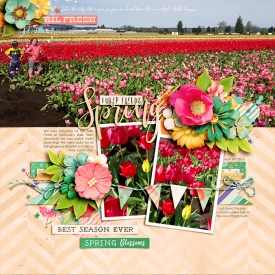 2016_4_Spring.jpg
