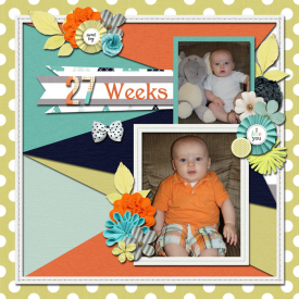 2017-05-18-27-weeks_edited-.jpg