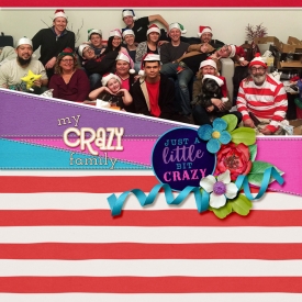 2017-Crazy-Family-Christmas-web2.jpg