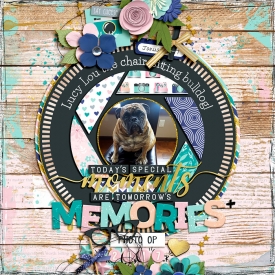 2017_1_Memories_copy.jpg