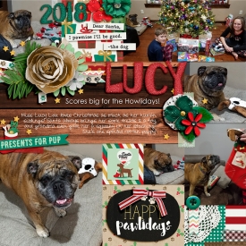 2018_12_25_Lucyssd.jpg